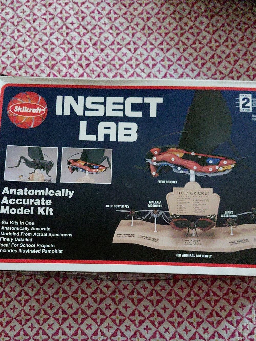 Skilcraft Insect Lab Anatomically Accurate Model Kit - Blue/Black